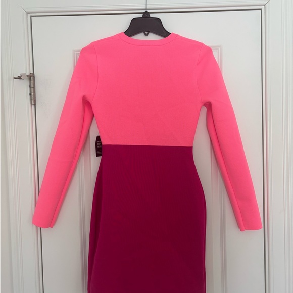 Express Pink and Magenta Long Sleeve Dress - Picture 10 of 10